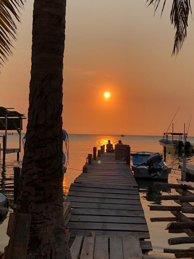 Tropical Oasis Hostel Caye Corker Exterior photo